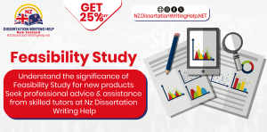 Feasibility Study